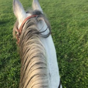 Meet your Posher, Bailee